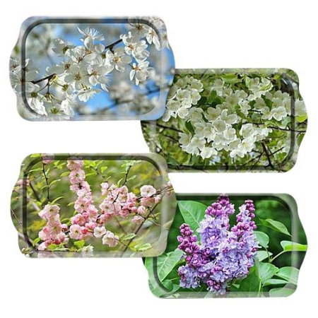 Я7774_15032019132706