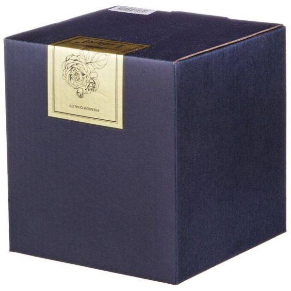 ЦБ-00137240_022023155248