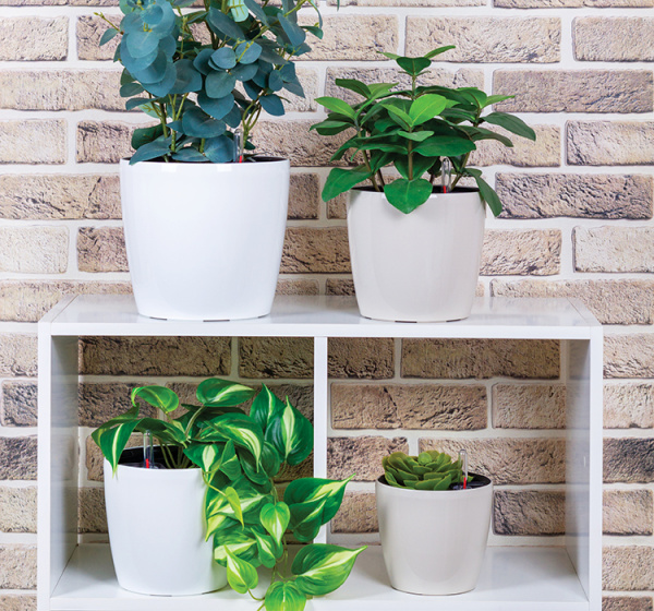 ЦБ-00151263_022024135646