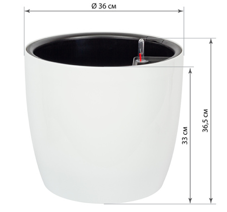 ЦБ-00151263_022024135559