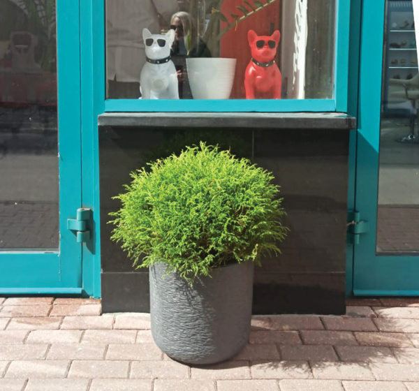 ЦБ-00142937_082024130700