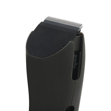 ЦБ-00066616_16012020104244