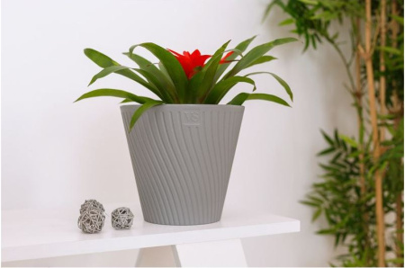 ЦБ-00152035_082025161701