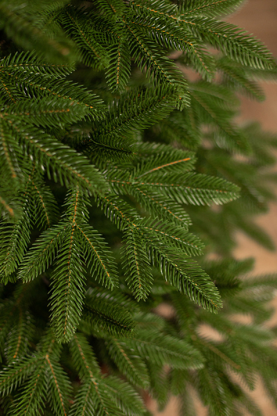 ЦБ-00170490_102025143041