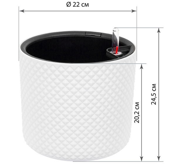 ЦБ-00151269_022024143241