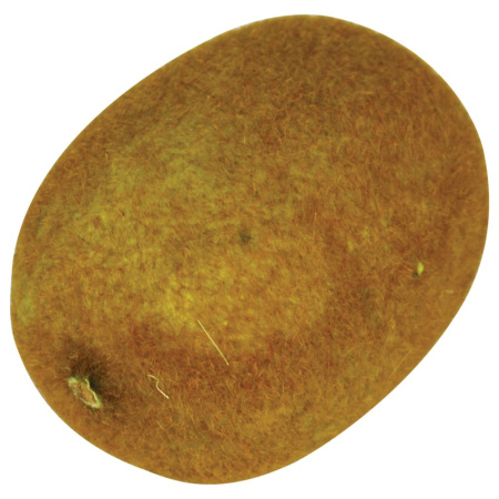 М0946_23072019150616