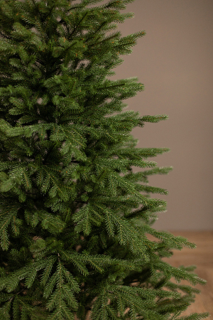 ЦБ-00157439_102025153726